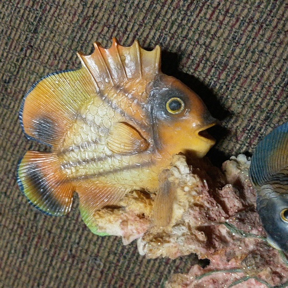 😇Fish what knot - Picture 4 of 8